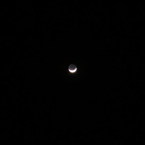 木星・三日月・金星並ぶ