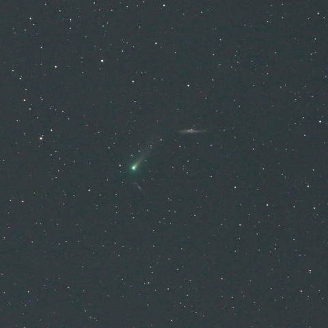 11/25未明 月夜でも明るいレナード彗星（C/2021 A1）