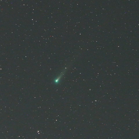 11/30未明 レナード彗星（C/2021 A1）