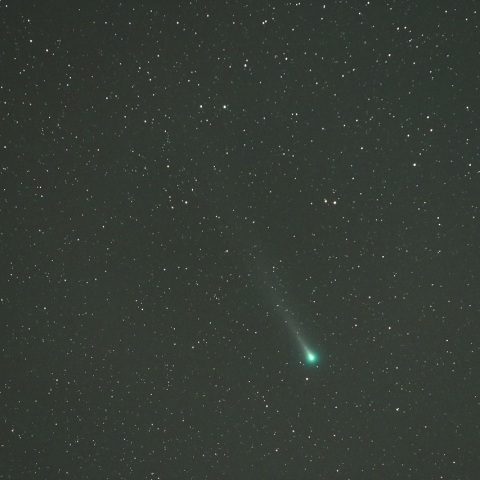 12/11未明 レナード彗星（C/2021 A1）その２