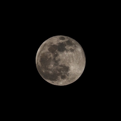 12/19 2021年 師走の満月（月齢15.1）