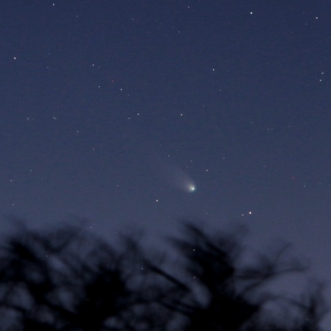 12/22 宵の刻のレナード彗星（C/2021 A1）