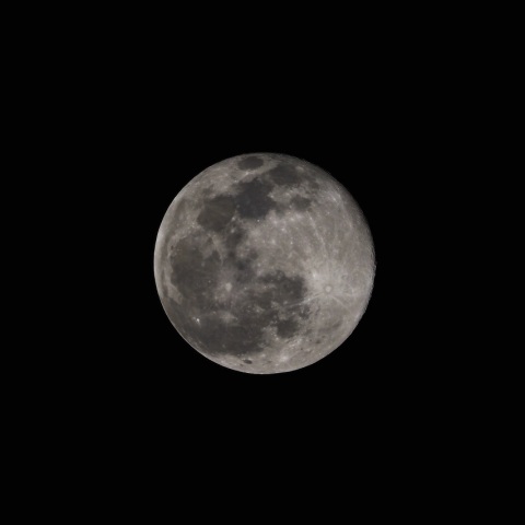 1/18 2022年 最初の満月（月齢15.8）