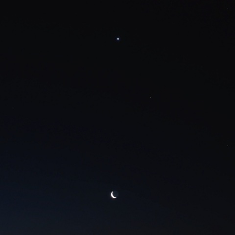 2/28未明 細い月と金星・火星の共演