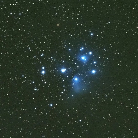 11/19未明 おうし座プレアデス星団