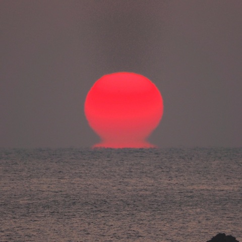 1/2 マイルドな「だるま朝日」