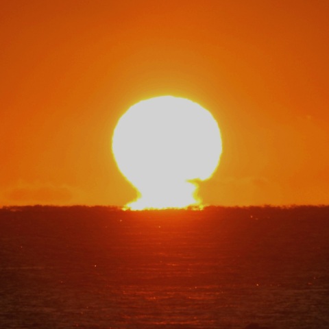 1/4 ハードな「だるま朝日」