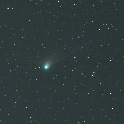 1/17未明 初見初撮りのズィーティーエフ彗星（C/2022 E3）