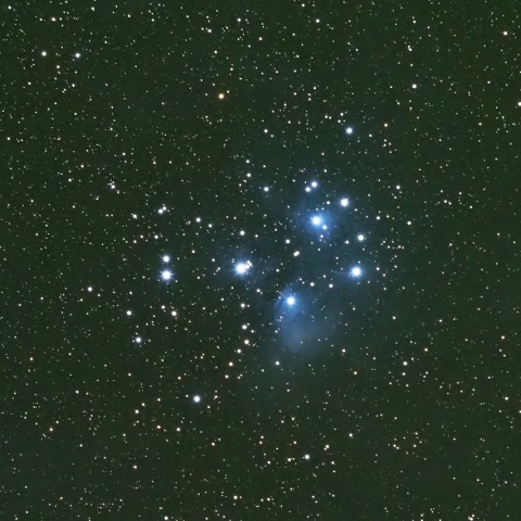 1/16 冬の定番（その１）プレアデス星団