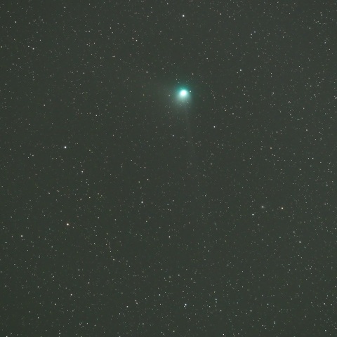 1/31未明 ズィーティーエフ彗星（C/2022 E3）その１