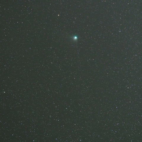 1/31未明 ズィーティーエフ彗星（C/2022 E3）その３