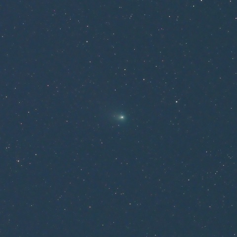 2/5 満月直前のズィーティーエフ彗星（C/2022 E3）その２