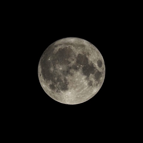 8/1 ８月の満月（月齢14.8）