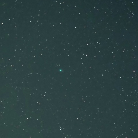 8/26未明 初見初撮りの西村彗星（C/2023 P1）