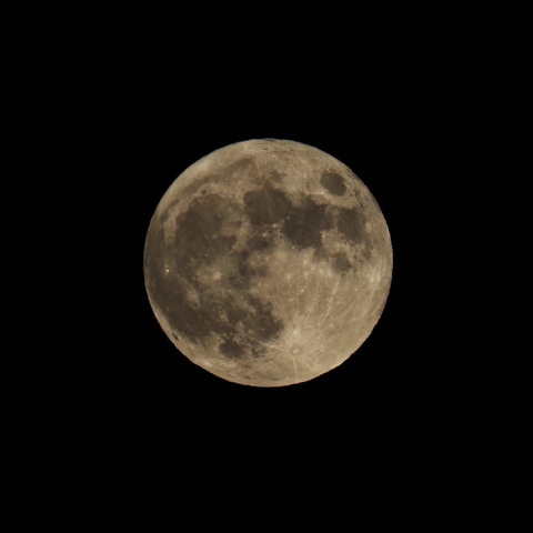 9/29 ９月の満月は中秋の名月（その１）