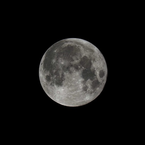 9/29 ９月の満月は中秋の名月（その３）