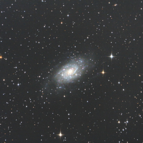 NGC2403