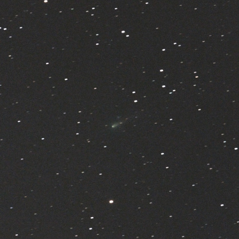 色付いてきたアイソン彗星