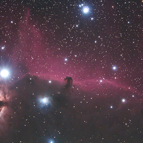 燃える木と馬頭星雲