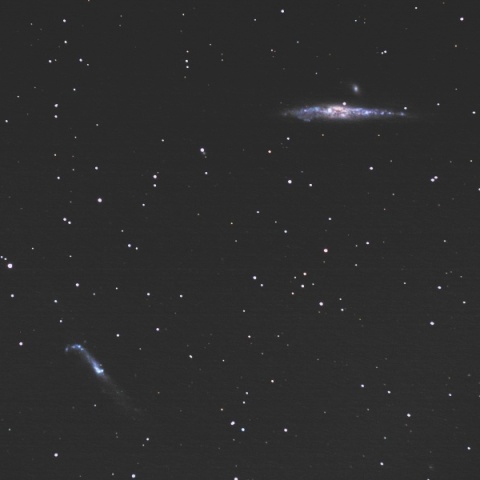 Whale Galaxy (NGC4631) 