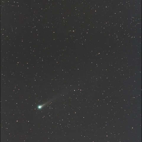 あいだ通りま～す