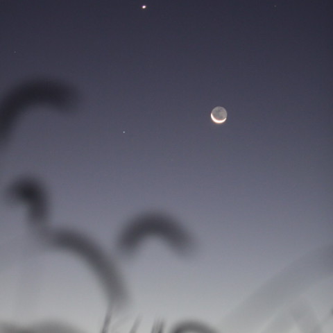 月と金星とレグルス