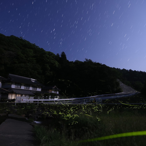 ホタル星景