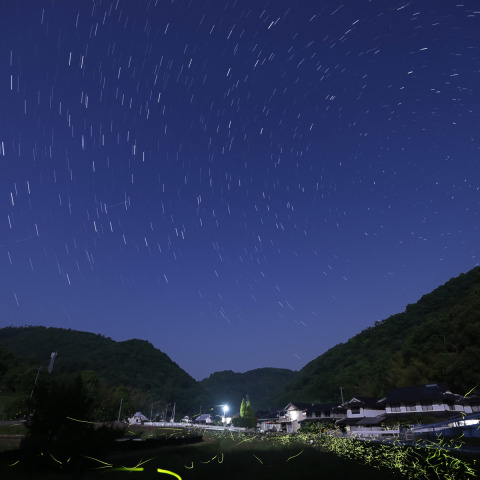 ホタル星景