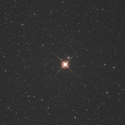 ミラク・ゴースト