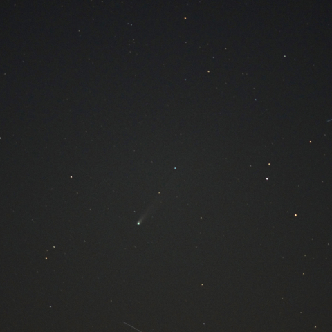 レモン彗星 (C/2025 A6)
