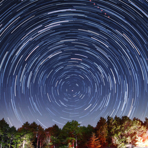 ポラリスとおおぐま座の周回