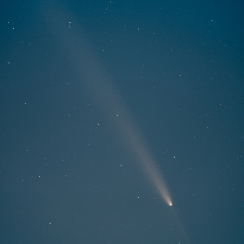 紫金山・アトラス彗星