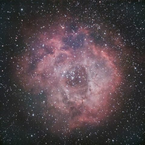 ピンク色のバラ星雲