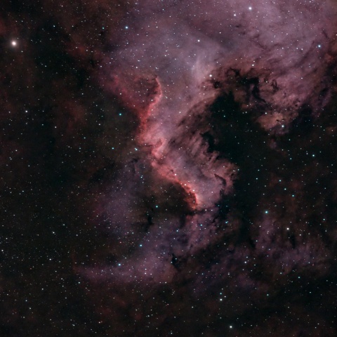 HαとOlllによる北アメリカ星雲