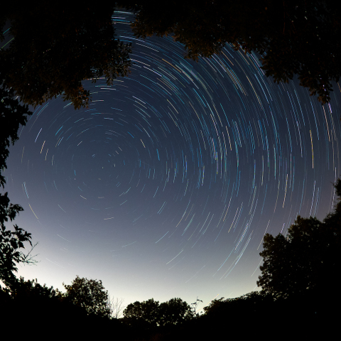 樹々の窓から見た星の日周運動