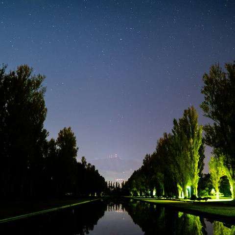 森林公園の星空