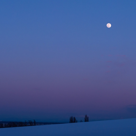 ビーナスベルトとお月様