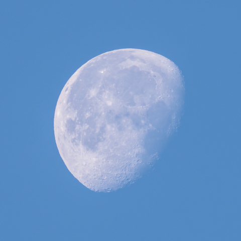 Morning moon