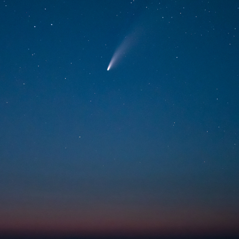 愛しのネオワイズ彗星