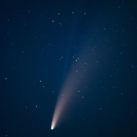 ネオワイズ彗星