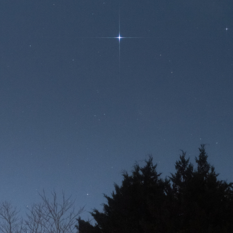 シリウスに願いを…