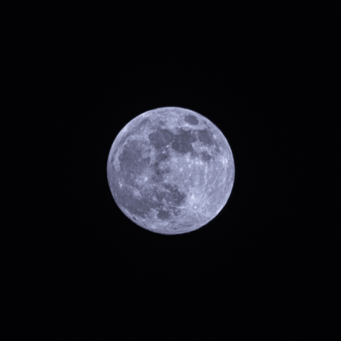 満月前夜のお月様