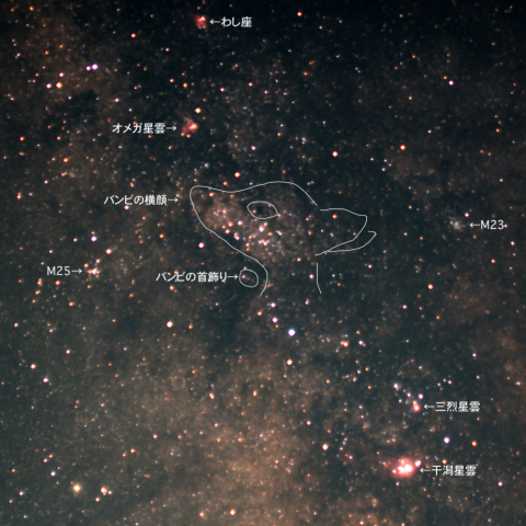 バンビの横顔とメシエ天体