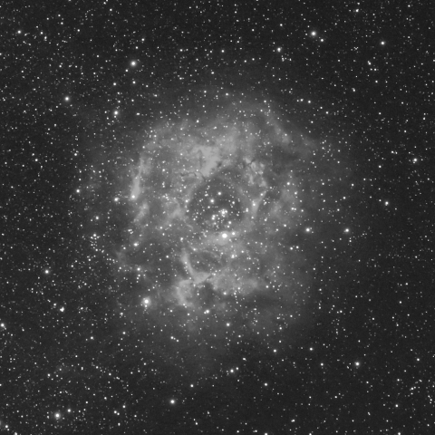 バラ星雲（モノクロver.）