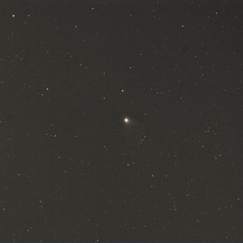 明け方のレモン彗星