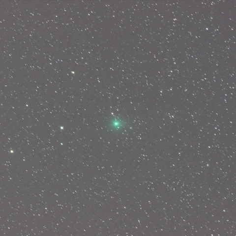 ラヴジョイ彗星