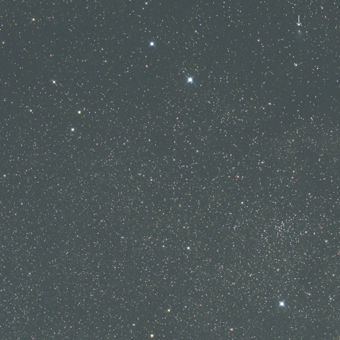 ジャック彗星（C/2015 F4）とNGC6830、あれい星雲