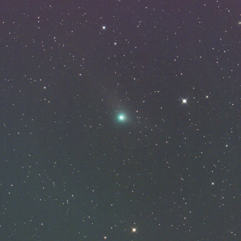 5/12薄明前のパンスターズ彗星（C/2013 X1）