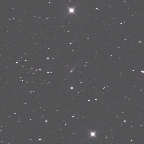 ジョンソン彗星（C/2015 V2）