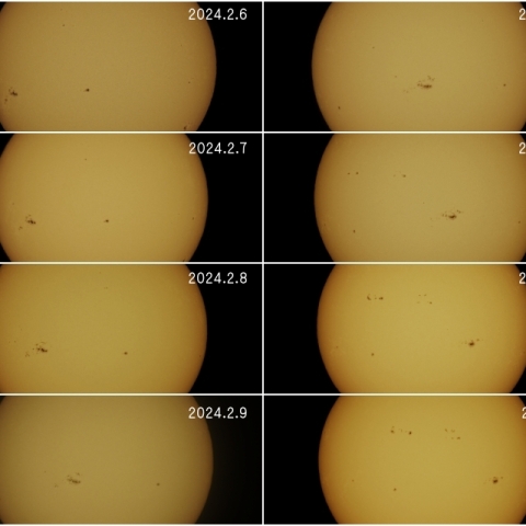 2月6日～13日の太陽面